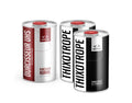 Kit vernis UHS Thixotrope anti-coulures VisionColor 3 litres - Auto Mark'T